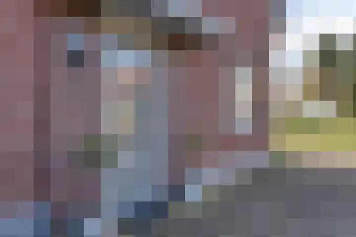 Burggraaf 1 Vierlingsbeek thumbnail 7