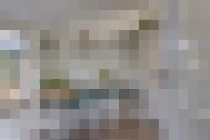 Burggraaf 1 Vierlingsbeek thumbnail 9