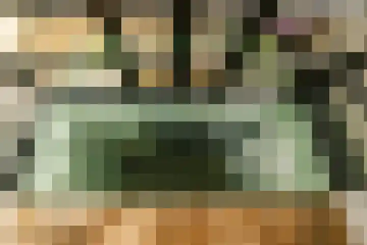 Burgwal 23 Haarlem thumbnail 23