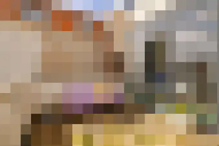 Burgwal 23 Haarlem thumbnail 24