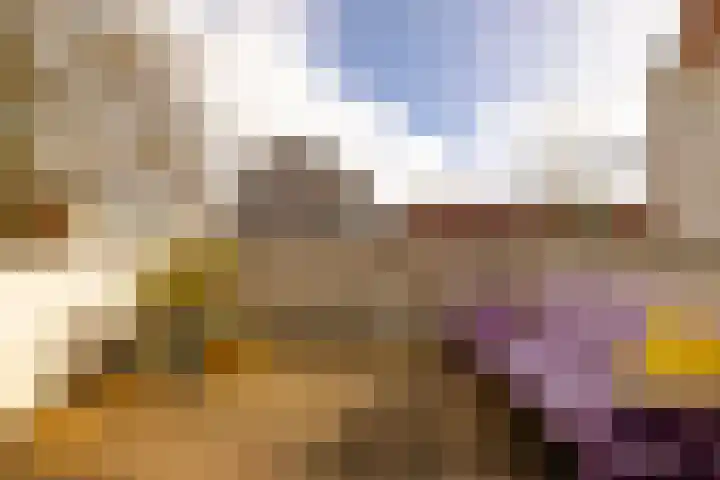 Burgwal 23 Haarlem thumbnail 25