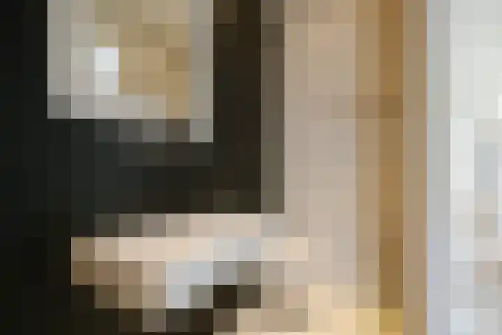 Burgwal 23 Haarlem thumbnail 27