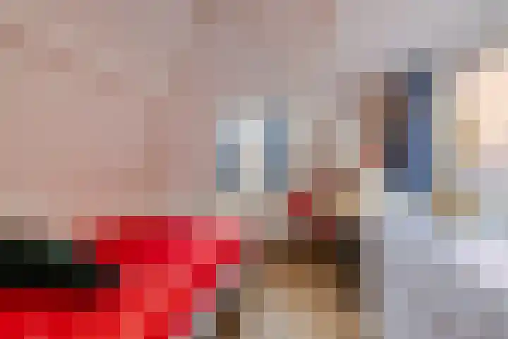 Burgwal 23 Haarlem thumbnail 32