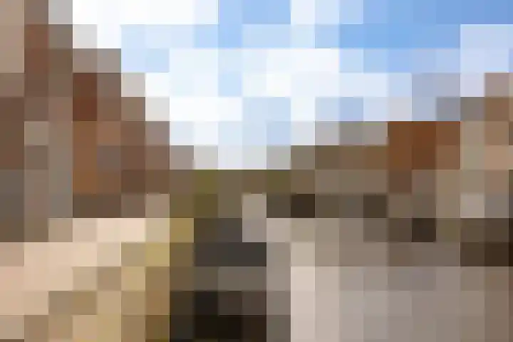 Burgwal 23 Haarlem thumbnail 45
