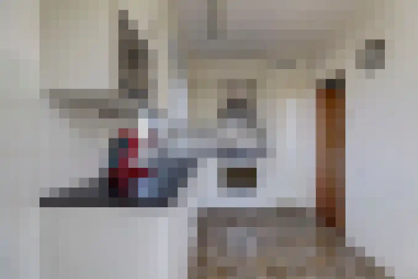 Burgwal 25 A Oss thumbnail 15