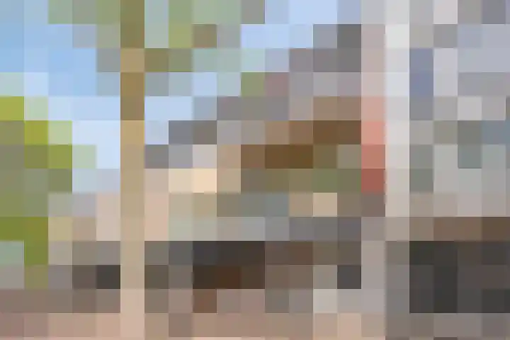 Burgwal 25 A Oss thumbnail 19