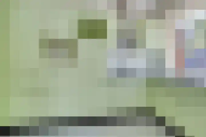 Burgwal 25 A Oss thumbnail 6