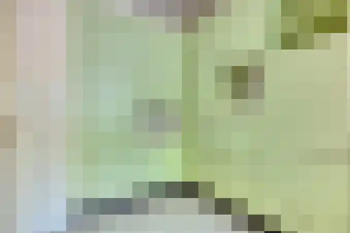 Burgwal 25 A Oss thumbnail 7