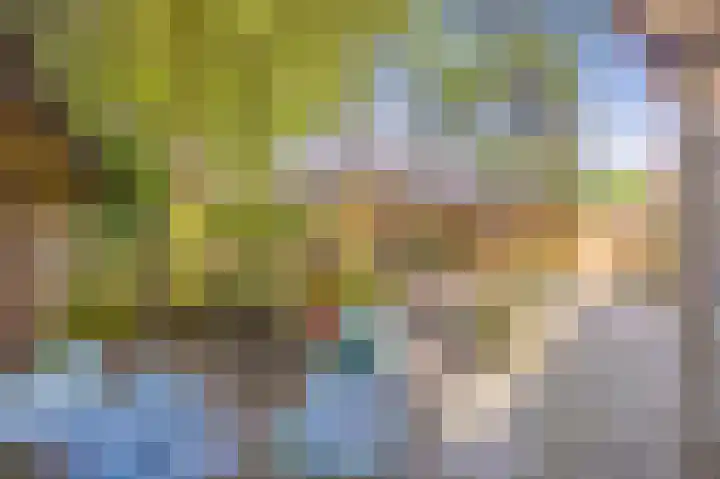Burgwal 25 A Oss thumbnail 8
