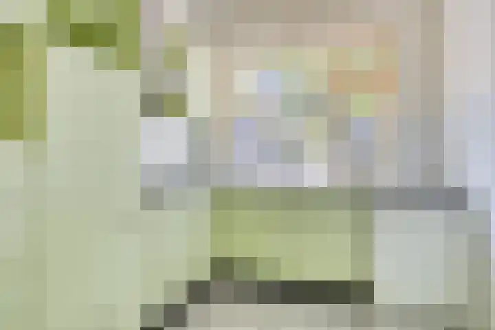 Burgwal 25 A Oss thumbnail 8