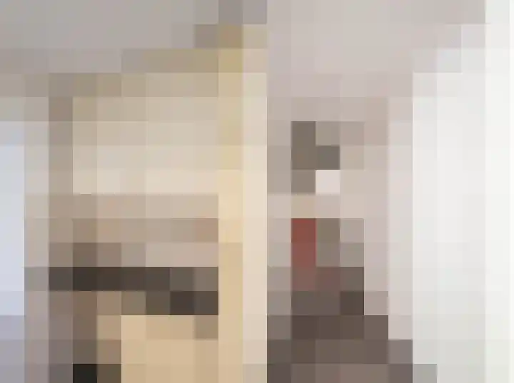 Burgwal 31 Oss thumbnail 11
