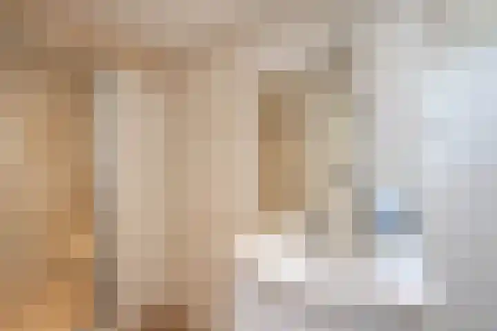 Burgwal 31 Oss thumbnail 14
