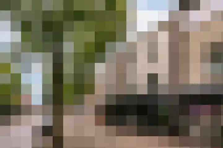 Burgwal 31 Oss thumbnail 18