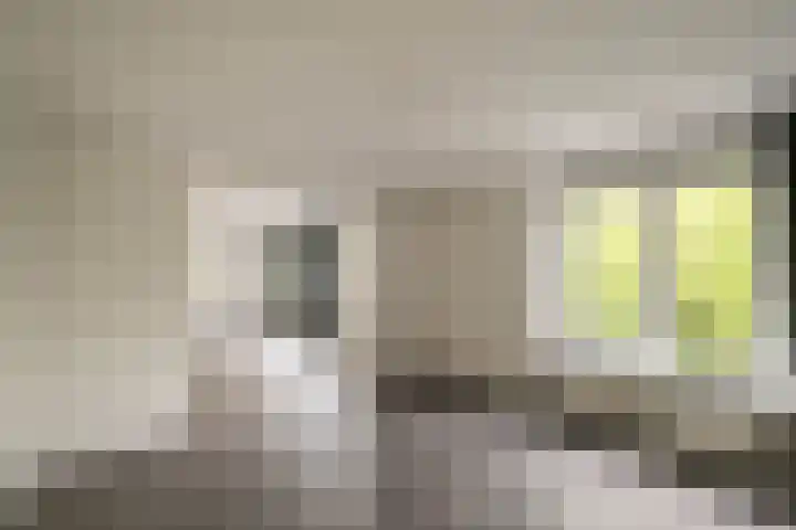 Burgwal 31 Oss thumbnail 9