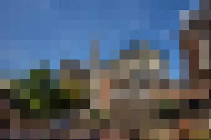 Burgwal 55 C Haarlem thumbnail 36