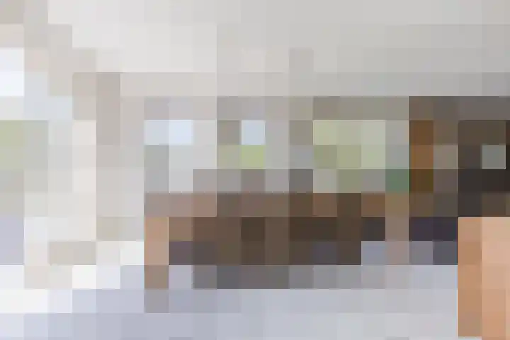Busch 1 Krommenie thumbnail 17