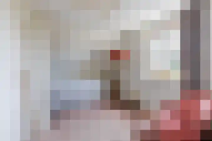 Busch 1 Krommenie thumbnail 26