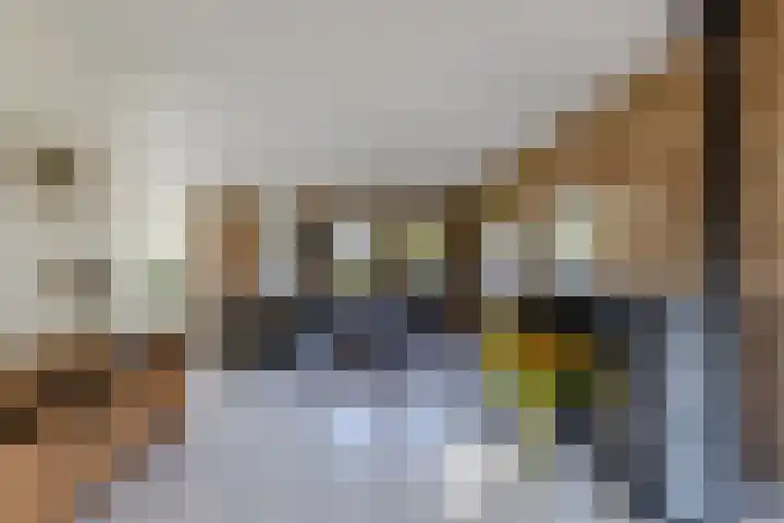 Busch 1 Krommenie thumbnail 4