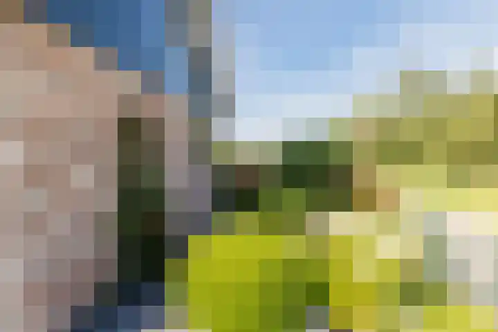Busch 1 Krommenie thumbnail 41