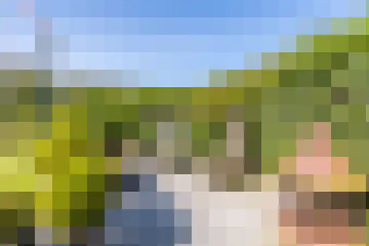 Busch 1 Krommenie thumbnail 42
