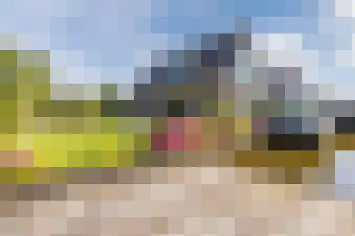 Busch 1 Krommenie thumbnail 44