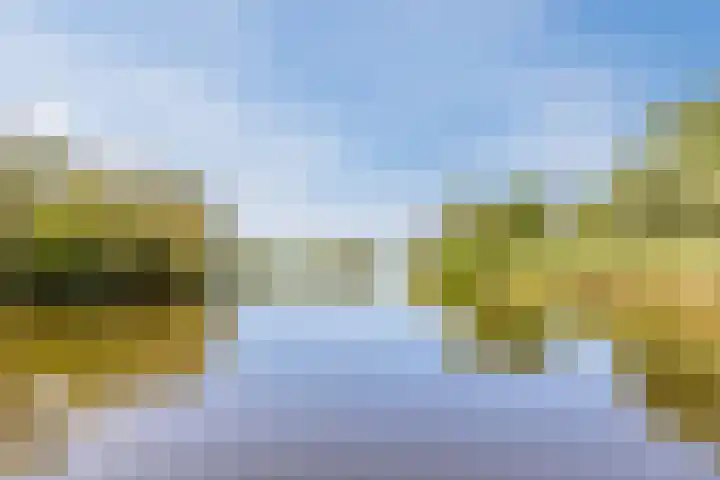Busch 1 Krommenie thumbnail 49