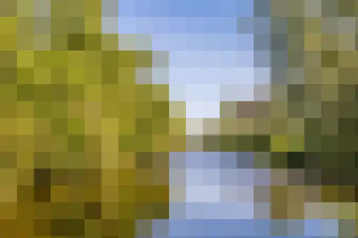 Busch 1 Krommenie thumbnail 50