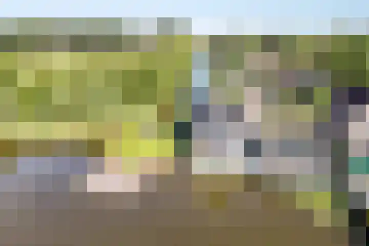 Busch 1 Krommenie thumbnail 52
