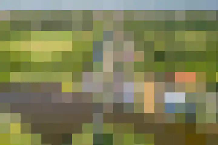 Busch 1 Krommenie thumbnail 53