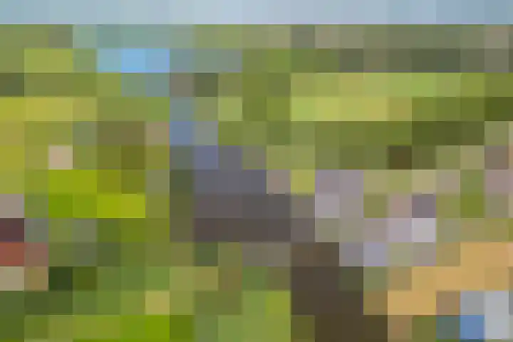 Busch 1 Krommenie thumbnail 54