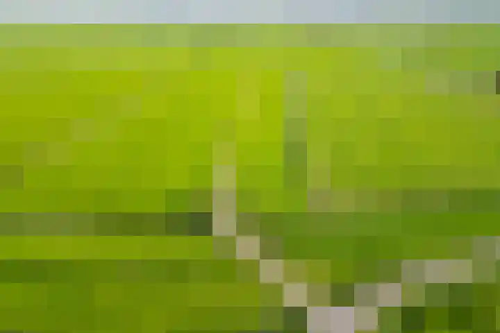 Busch 1 Krommenie thumbnail 56