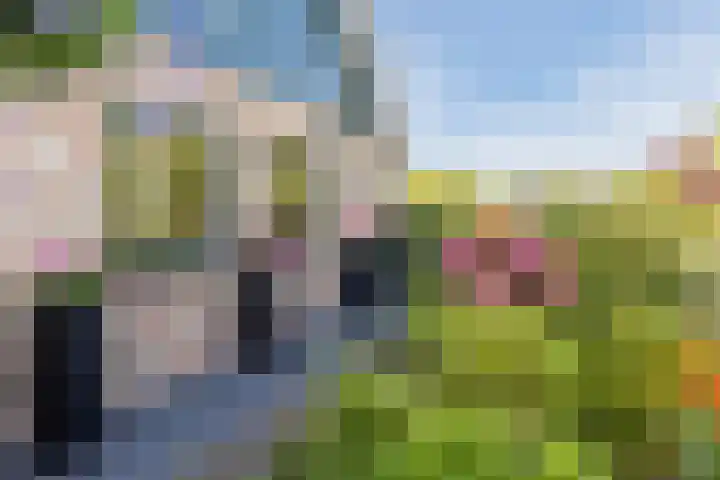 Busch 1 Krommenie thumbnail 7