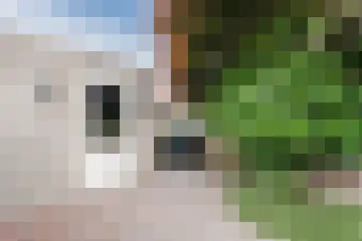 Busselstraat 4 Uden thumbnail 100