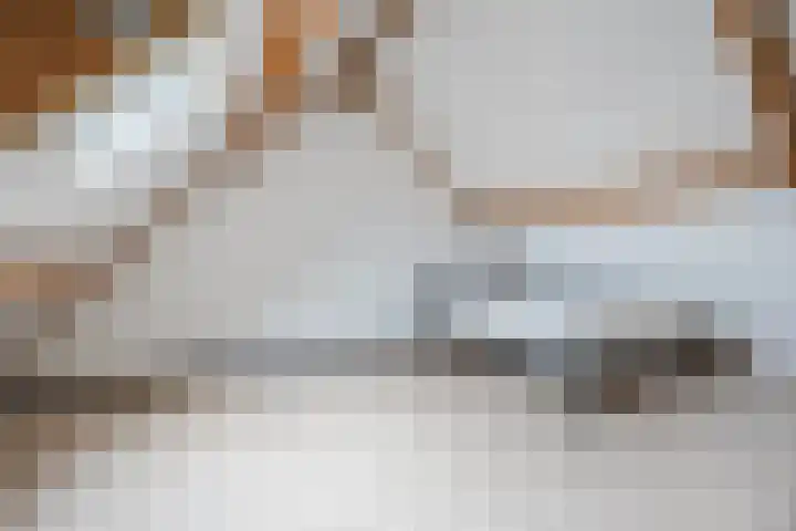 Busselstraat 4 Uden thumbnail 24