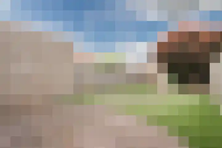 Busselstraat 4 Uden thumbnail 27
