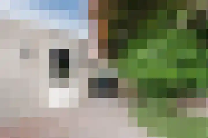 Busselstraat 4 Uden thumbnail 28