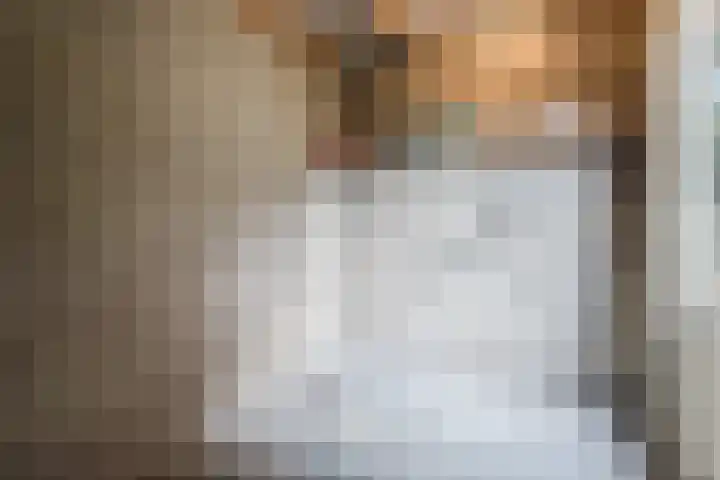 Busselstraat 4 Uden thumbnail 66