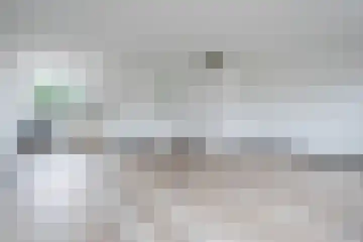 Busselstraat 4 Uden thumbnail 8