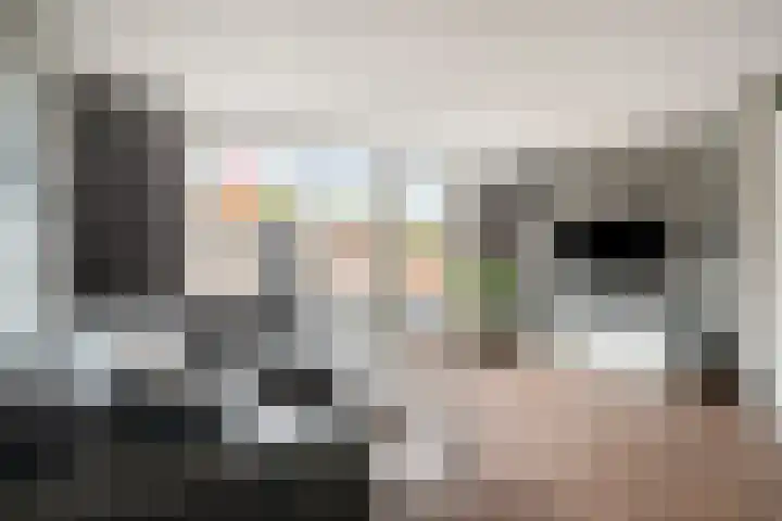 Busselstraat 7 Uden thumbnail 10