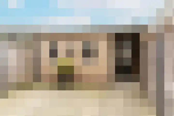 Bussenbongerd 21 Kesteren thumbnail 49