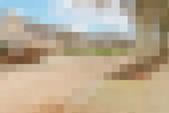 Bussenbongerd 21 Kesteren thumbnail 52