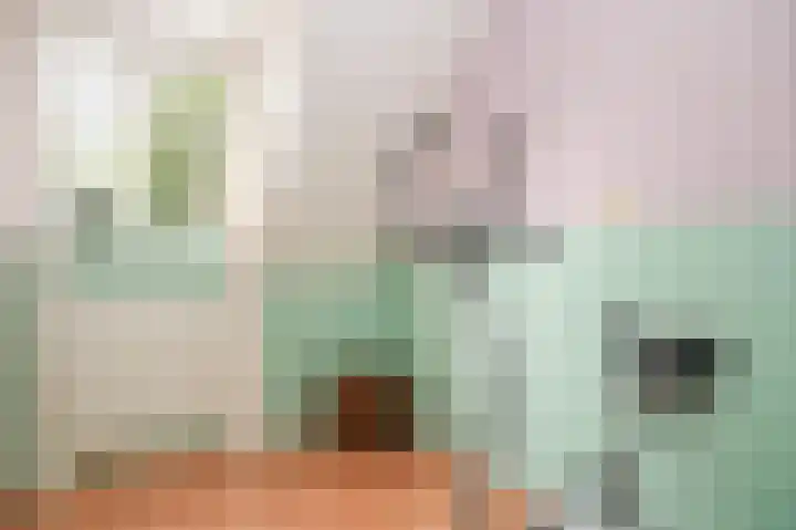 Bussenbongerd 4 Kesteren thumbnail 24