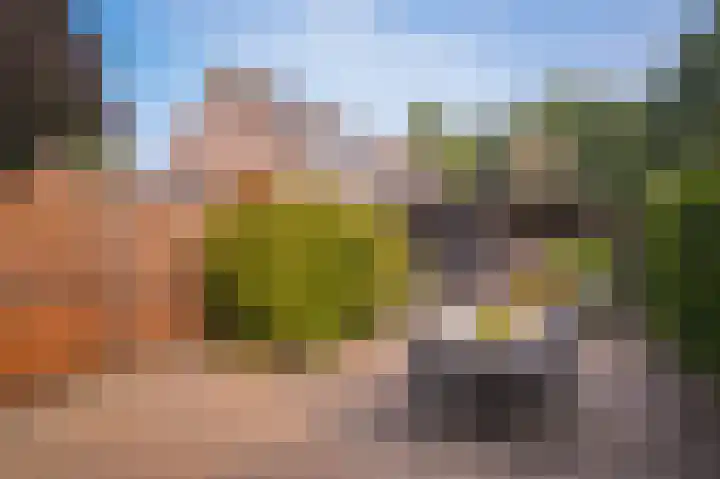 Bussenbongerd 4 Kesteren thumbnail 28