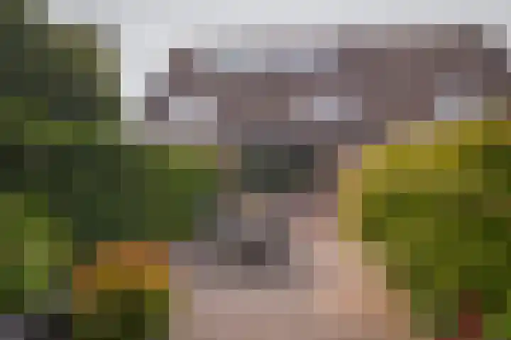 Bussenbongerd 4 Kesteren thumbnail 29