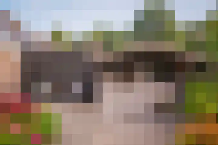 Bussenbongerd 4 Kesteren thumbnail 30