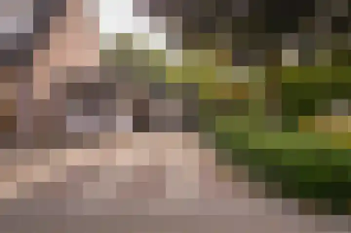 Bussenbongerd 4 Kesteren thumbnail 33