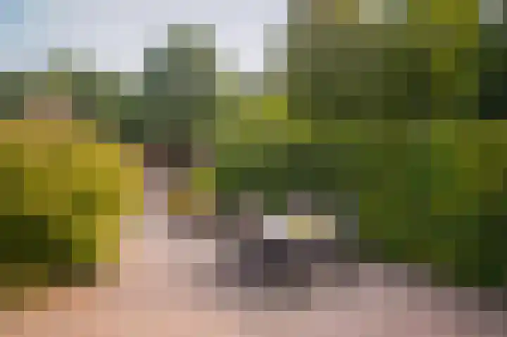 Bussenbongerd 4 Kesteren thumbnail 5