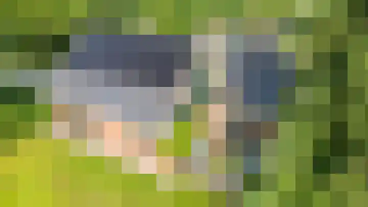Bûtendykswei 52 Ingwierrum thumbnail 14