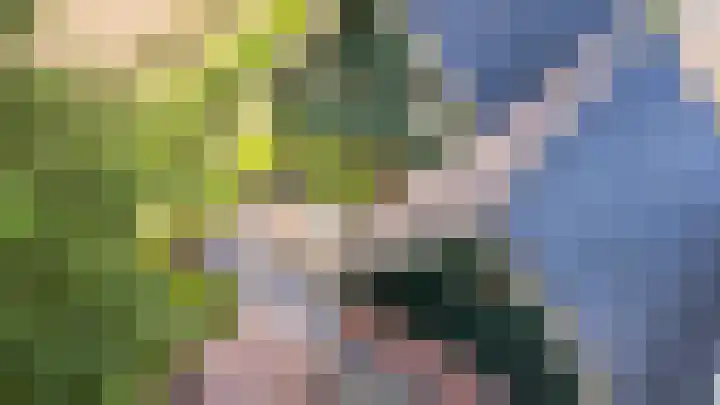 Bûtendykswei 52 Ingwierrum thumbnail 16
