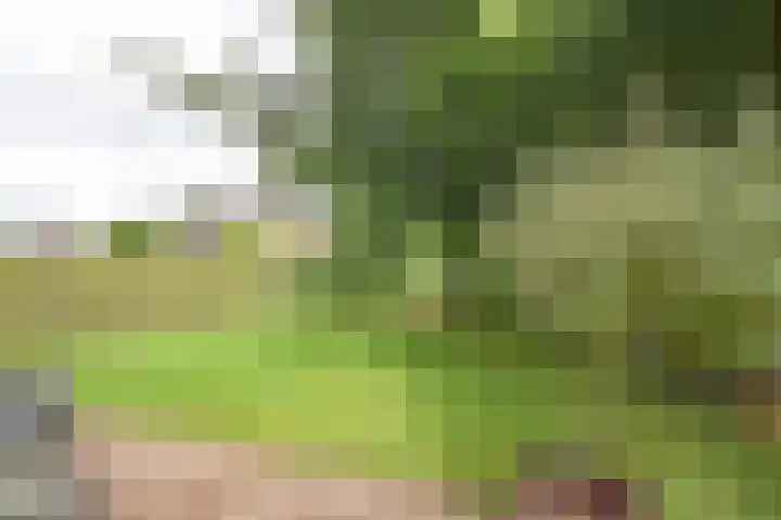 Bûtendykswei 52 Ingwierrum thumbnail 20